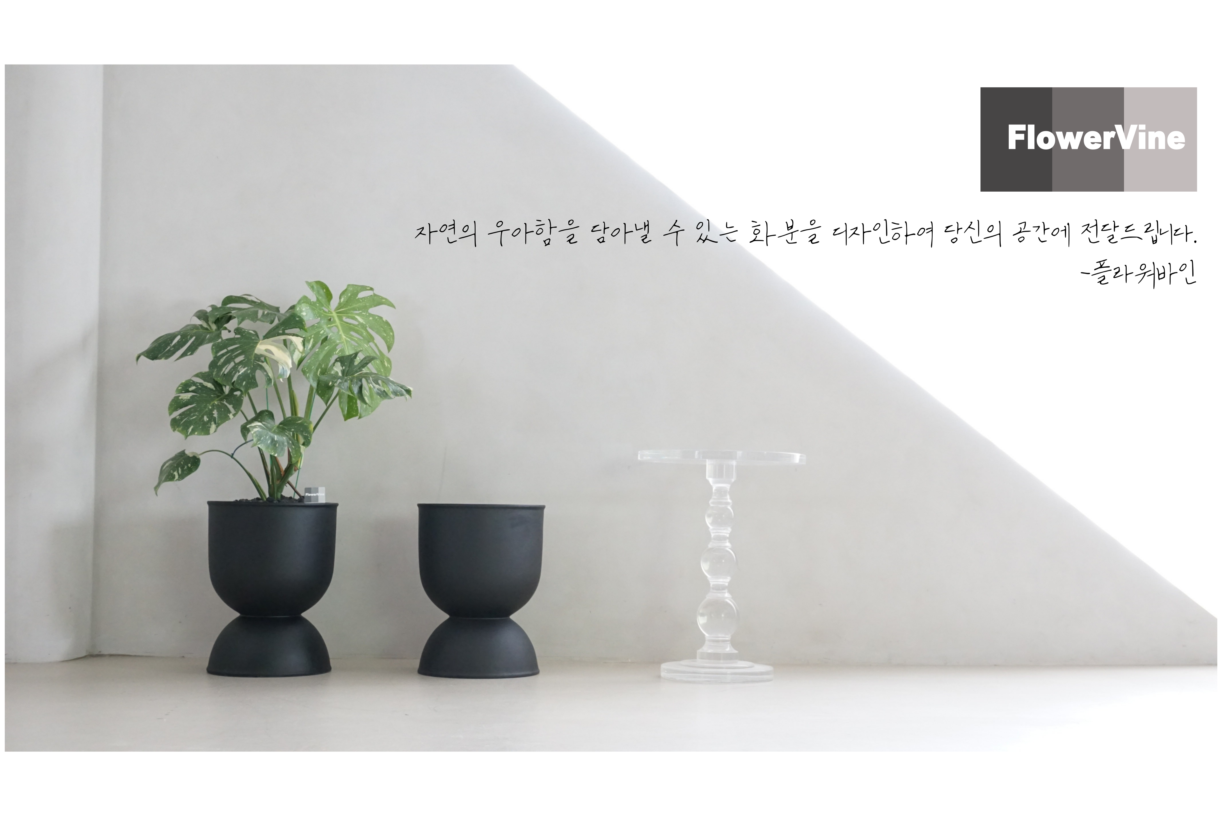 81c616de0ae316a6066bf28a2b77ac17_1740714987_9777.png