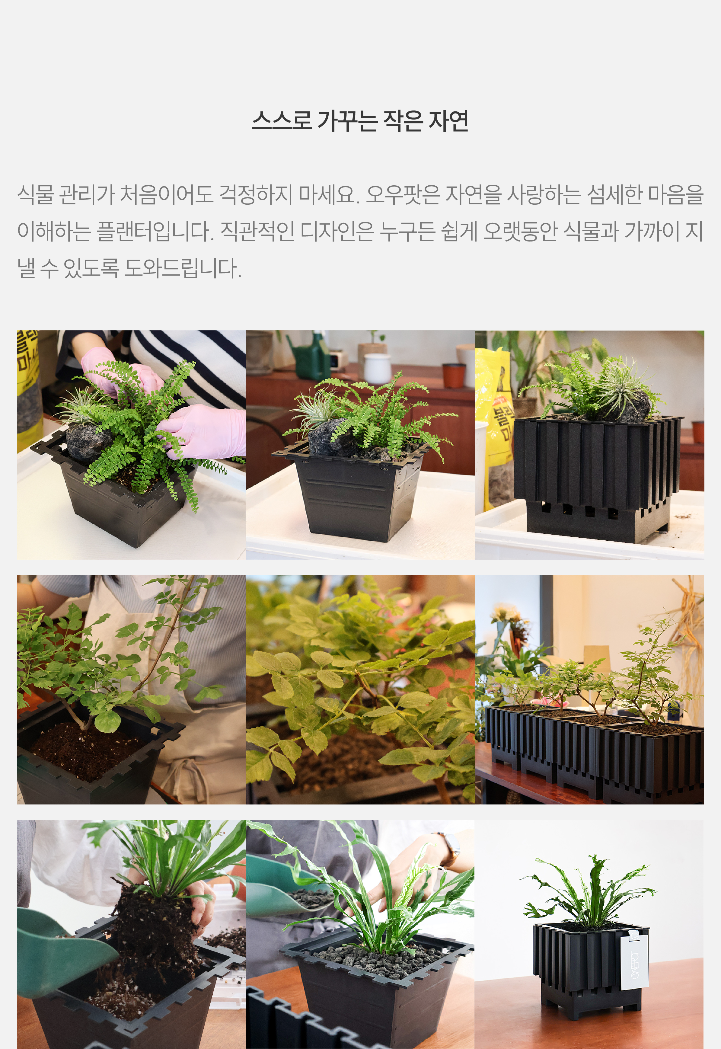 305fda818de41ebaf0192f6b01c39c4e_1743858086_7499.png