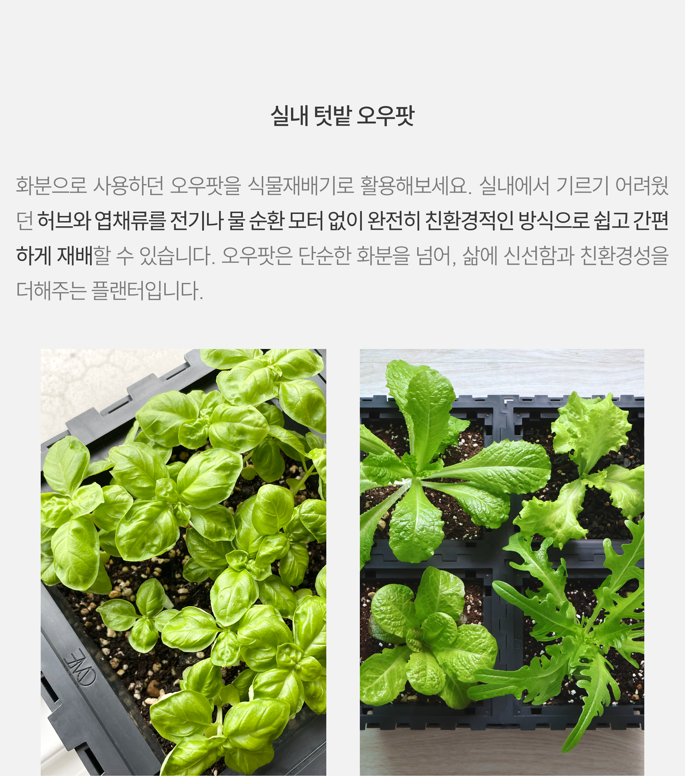 305fda818de41ebaf0192f6b01c39c4e_1743858122_1447.png