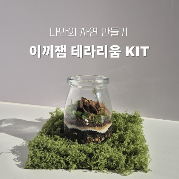 달리풀 이끼잼 테라리움 키트