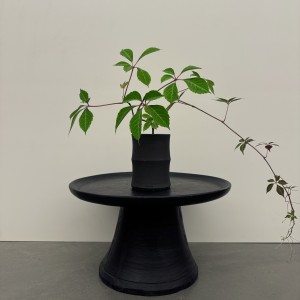 크리스토플랜트 오죽 (하이)
