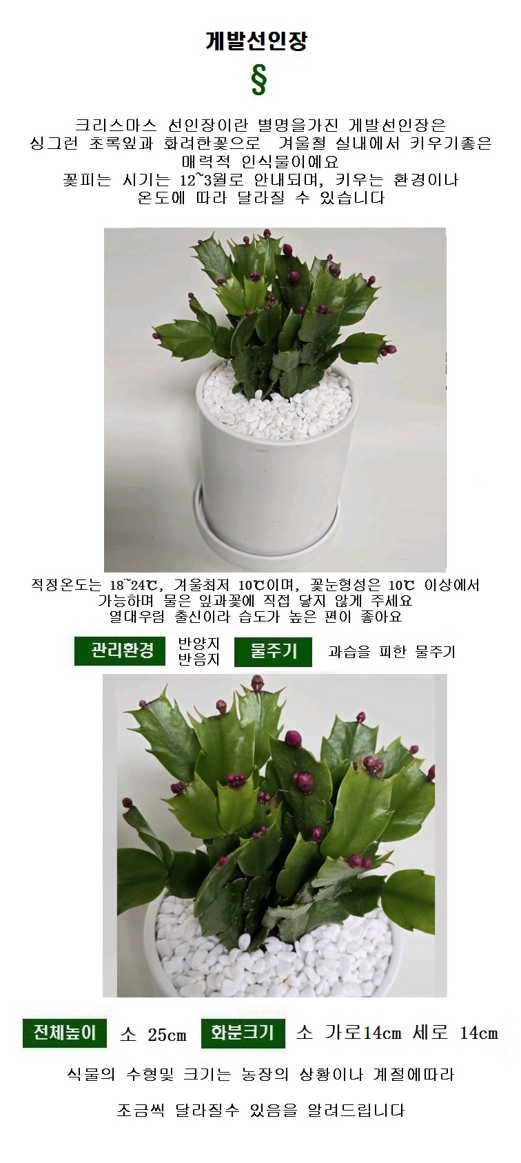 df60b0976e20022b5963ab23894f2d24_1761783384_0348.jpeg df60b0976e20022b5963ab23894f2d24_1761783384_0348.jpeg