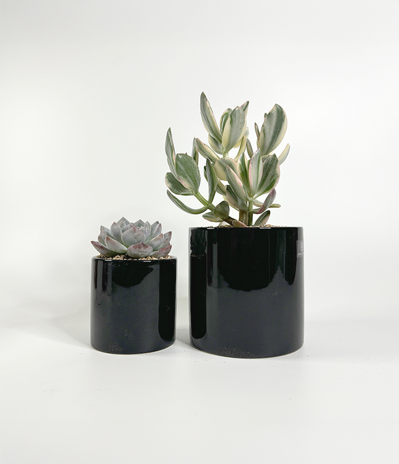 8842fd24c78607685c40c50bb5cd7f87_1764461331_7178.png 8842fd24c78607685c40c50bb5cd7f87_1764461331_7178.png