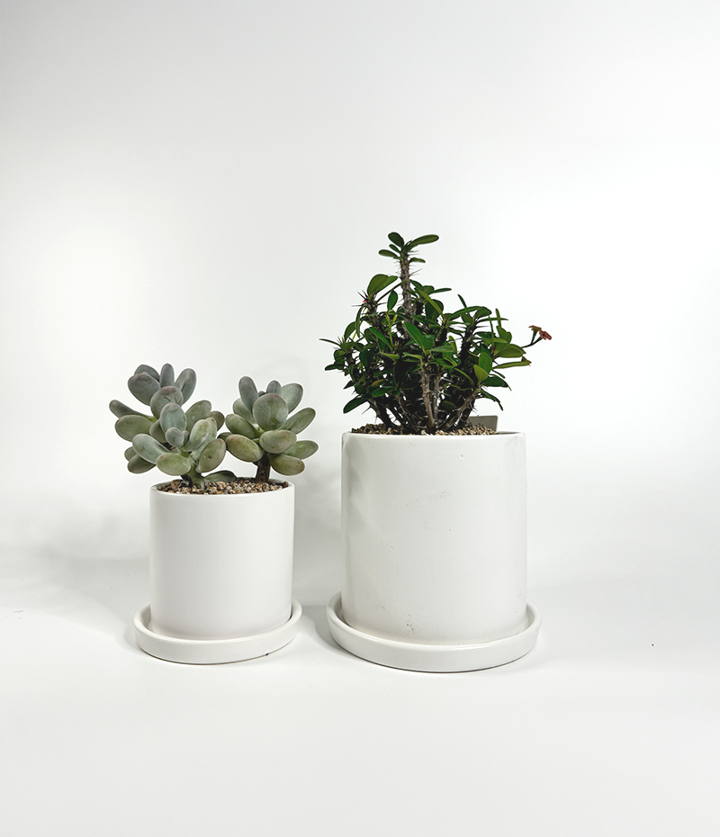 8842fd24c78607685c40c50bb5cd7f87_1764461331_8174.png 8842fd24c78607685c40c50bb5cd7f87_1764461331_8174.png