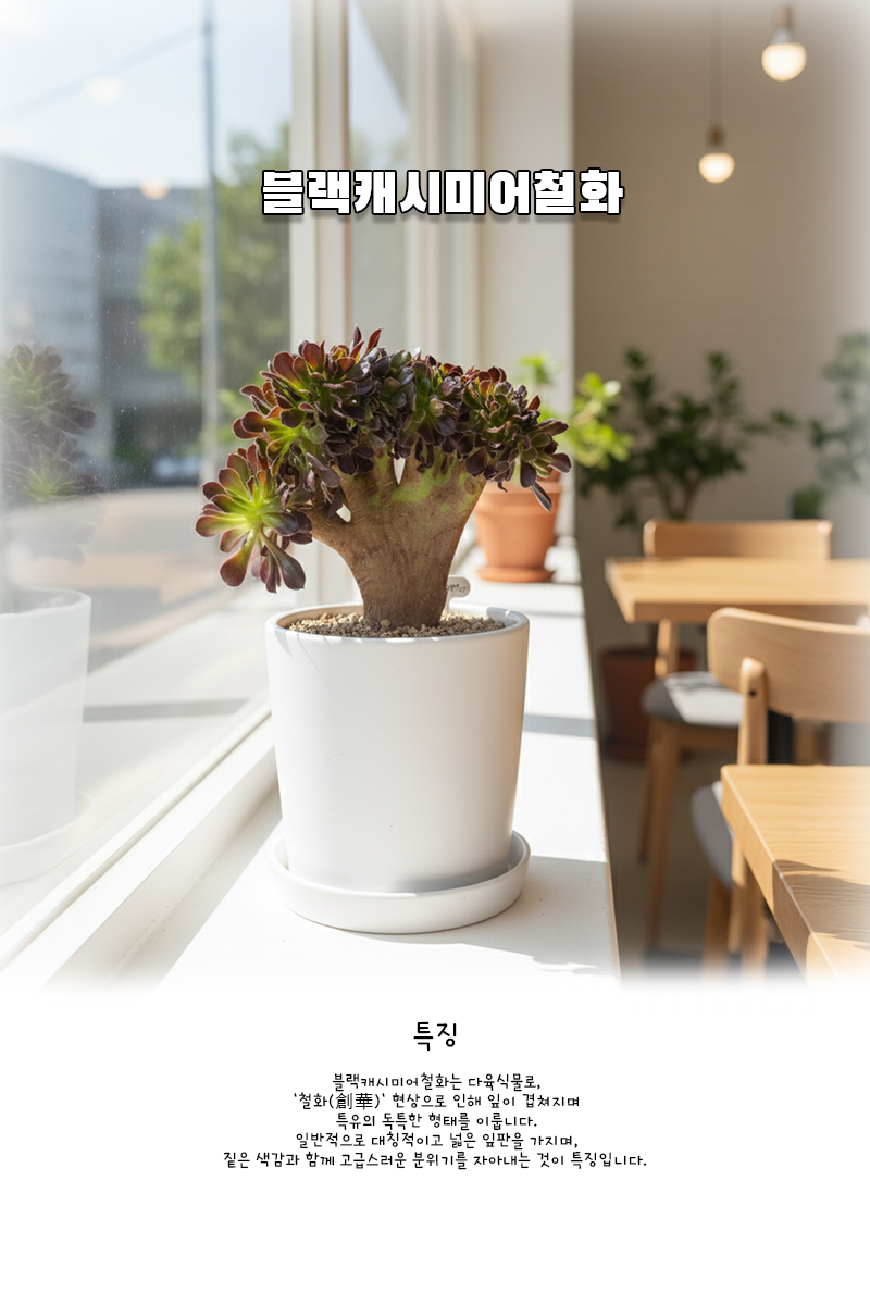 61192c6945002333584d8ca47e65ad6a_1764645041_3406.png 61192c6945002333584d8ca47e65ad6a_1764645041_3406.png