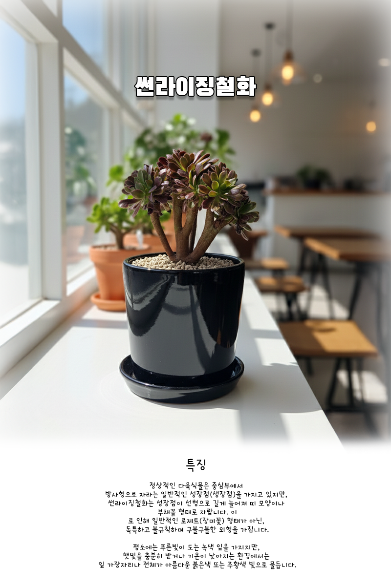 61192c6945002333584d8ca47e65ad6a_1764645041_764.png 61192c6945002333584d8ca47e65ad6a_1764645041_764.png