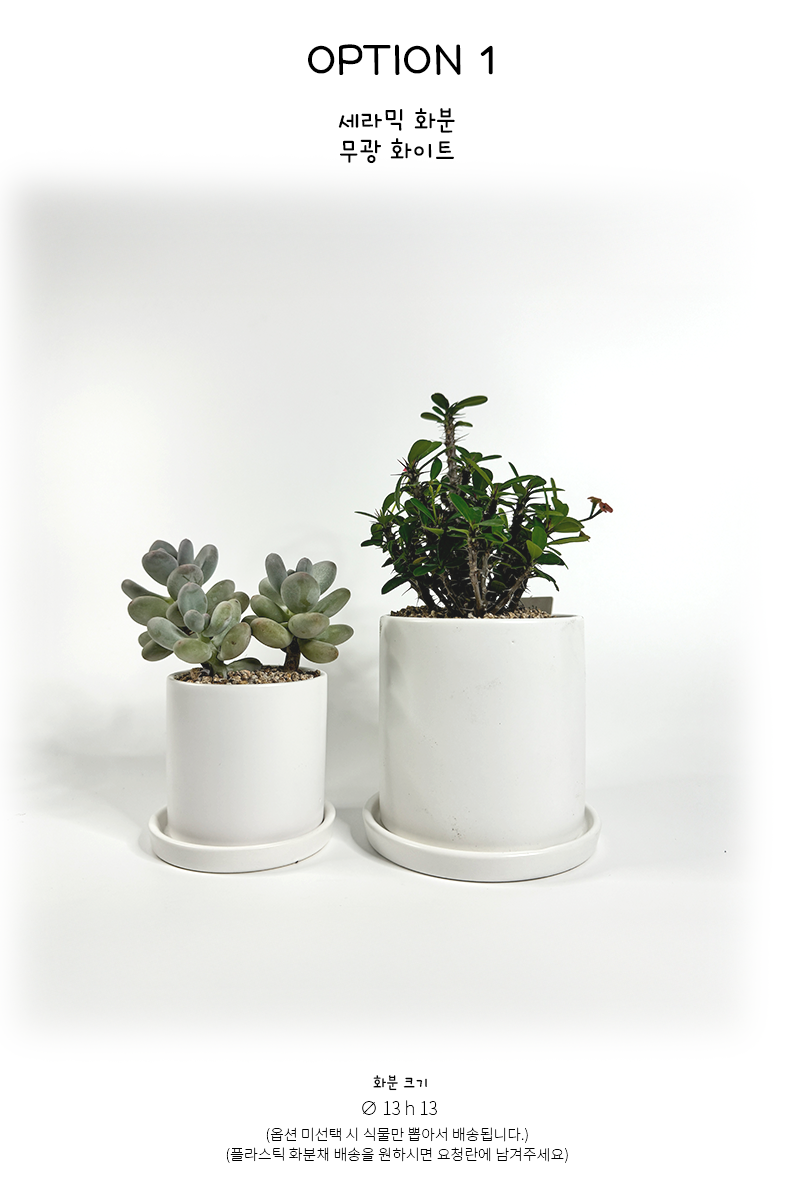 61192c6945002333584d8ca47e65ad6a_1764645127_0931.png 61192c6945002333584d8ca47e65ad6a_1764645127_0931.png