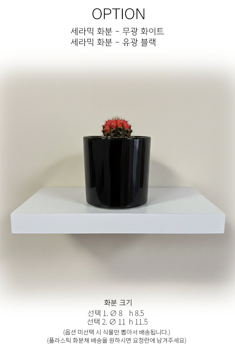 645ff55e94f4abb9485a3d062f804655_1765056154_6607.png 645ff55e94f4abb9485a3d062f804655_1765056154_6607.png