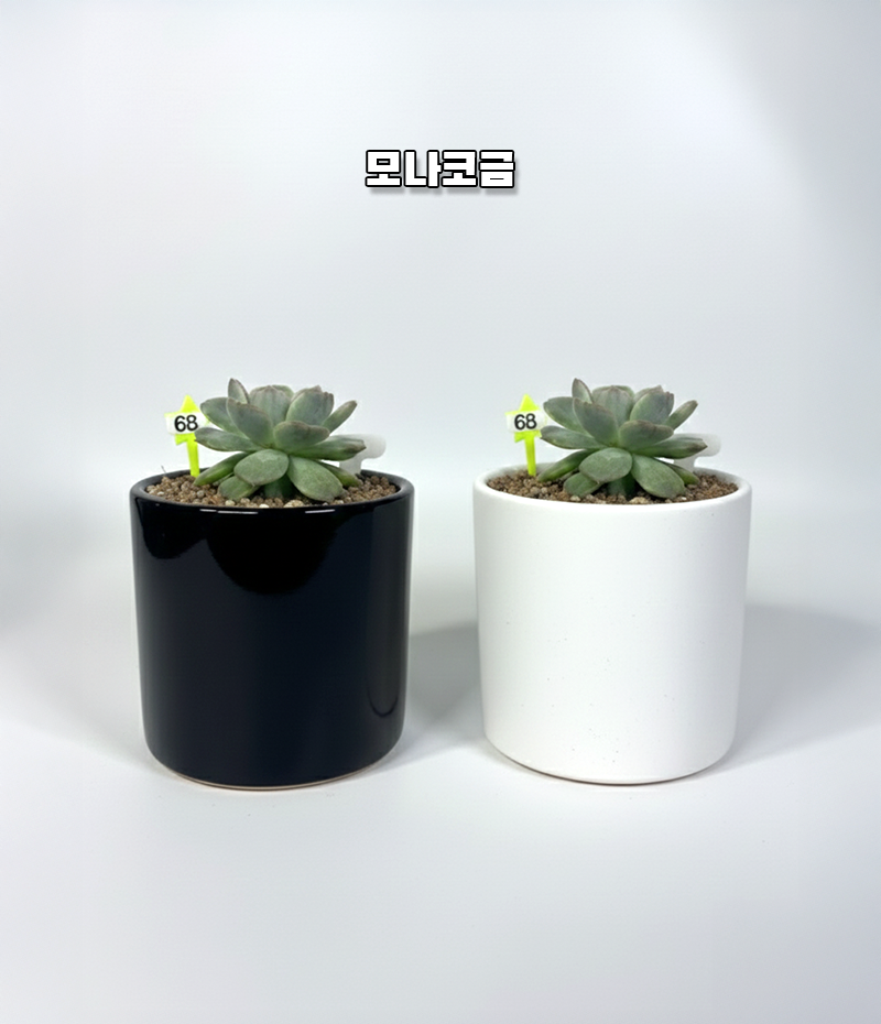 dee9d7fd06ad8fde154ad4bbf593da1c_1765175470_2497.png dee9d7fd06ad8fde154ad4bbf593da1c_1765175470_2497.png