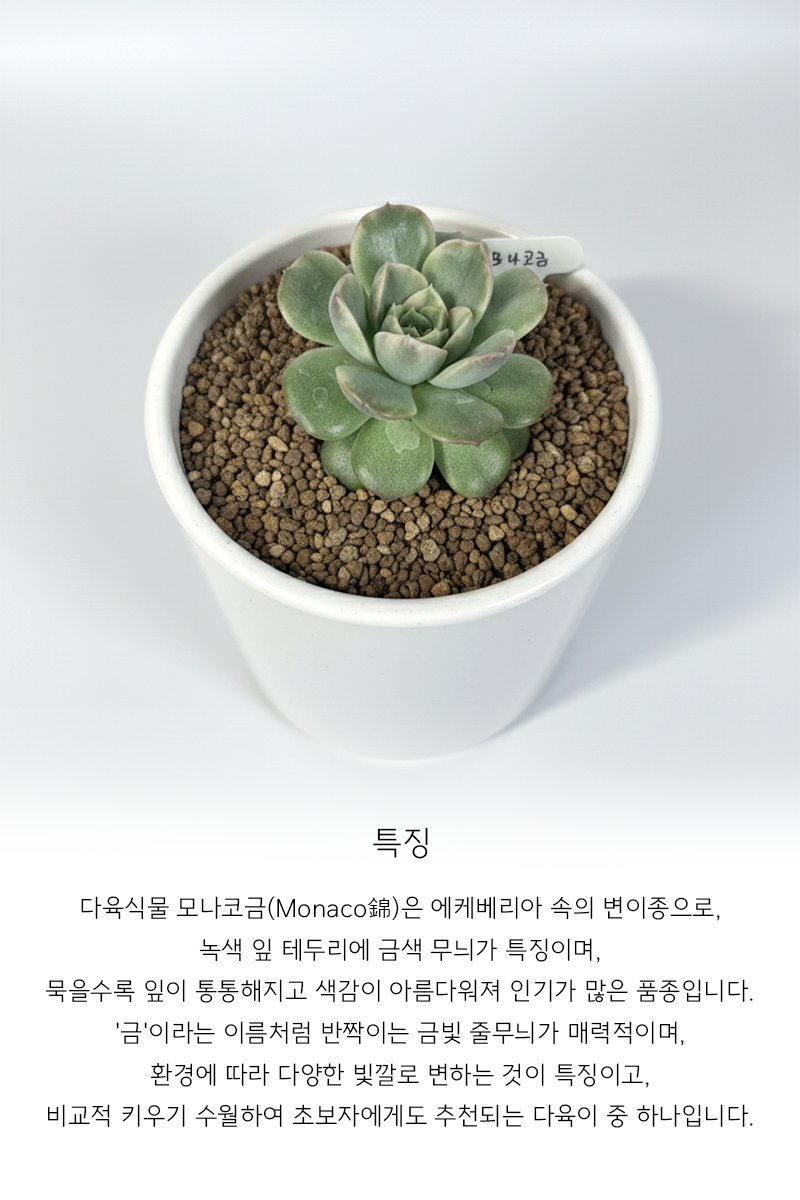 dee9d7fd06ad8fde154ad4bbf593da1c_1765175470_3436.png dee9d7fd06ad8fde154ad4bbf593da1c_1765175470_3436.png