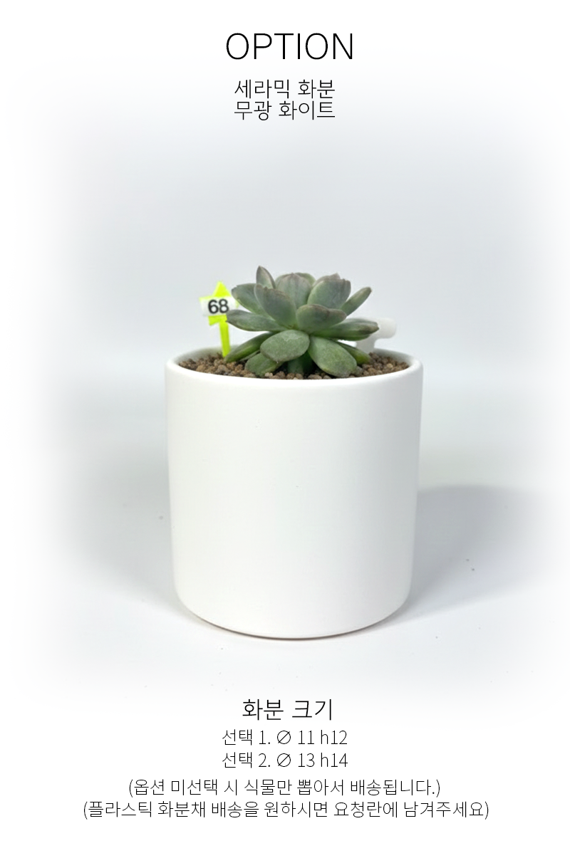 dee9d7fd06ad8fde154ad4bbf593da1c_1765175470_429.png dee9d7fd06ad8fde154ad4bbf593da1c_1765175470_429.png