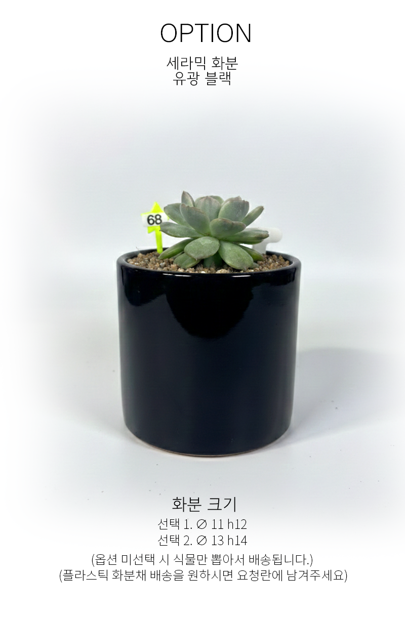 dee9d7fd06ad8fde154ad4bbf593da1c_1765175470_518.png dee9d7fd06ad8fde154ad4bbf593da1c_1765175470_518.png