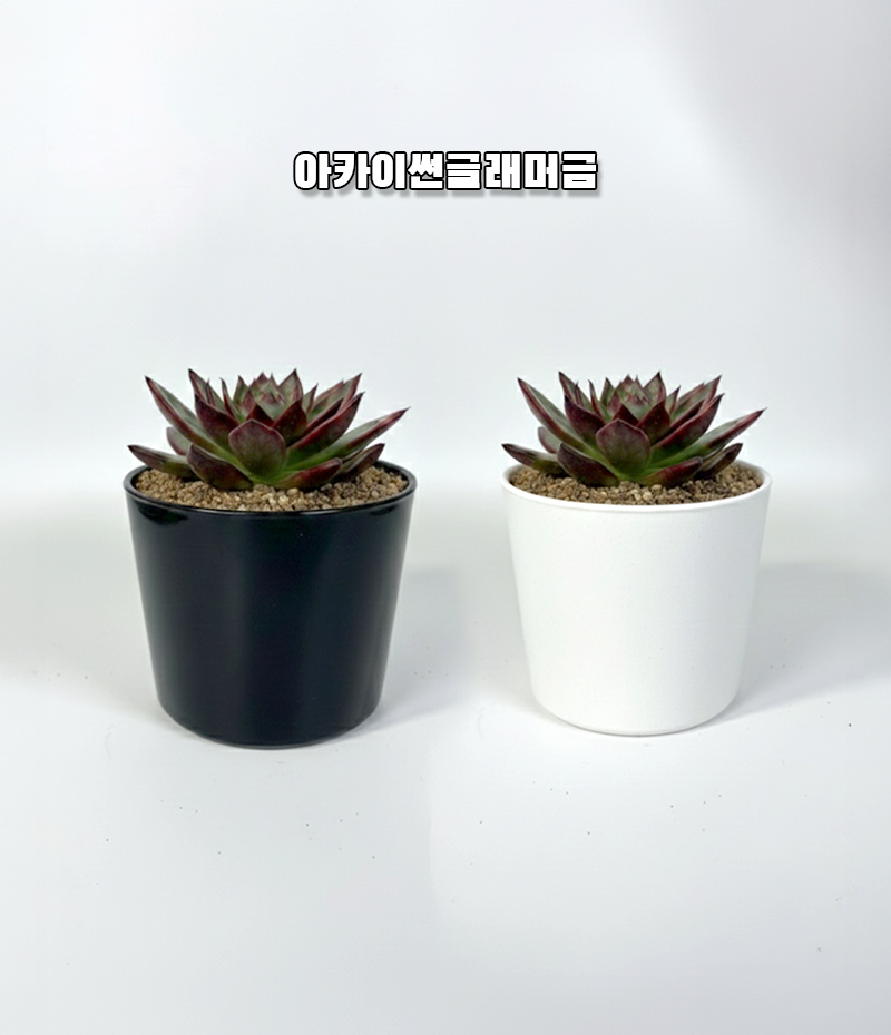 dee9d7fd06ad8fde154ad4bbf593da1c_1765175750_2467.png dee9d7fd06ad8fde154ad4bbf593da1c_1765175750_2467.png