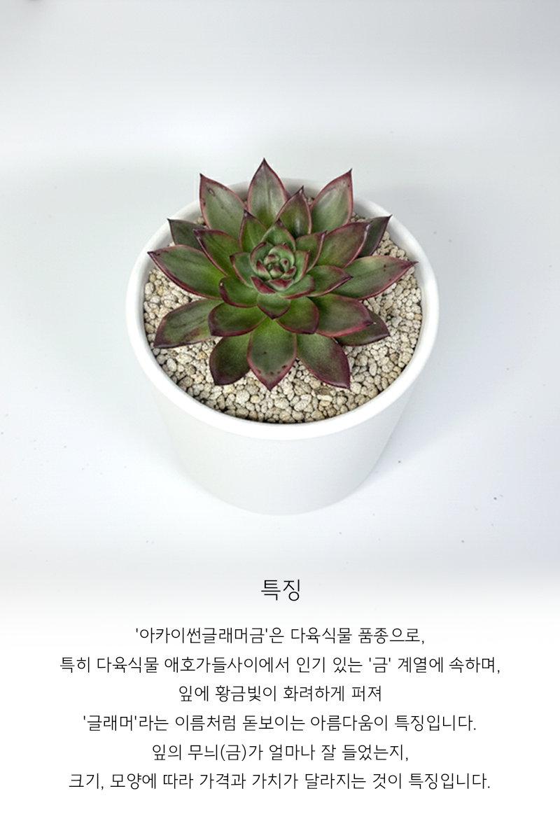 dee9d7fd06ad8fde154ad4bbf593da1c_1765175750_334.png dee9d7fd06ad8fde154ad4bbf593da1c_1765175750_334.png