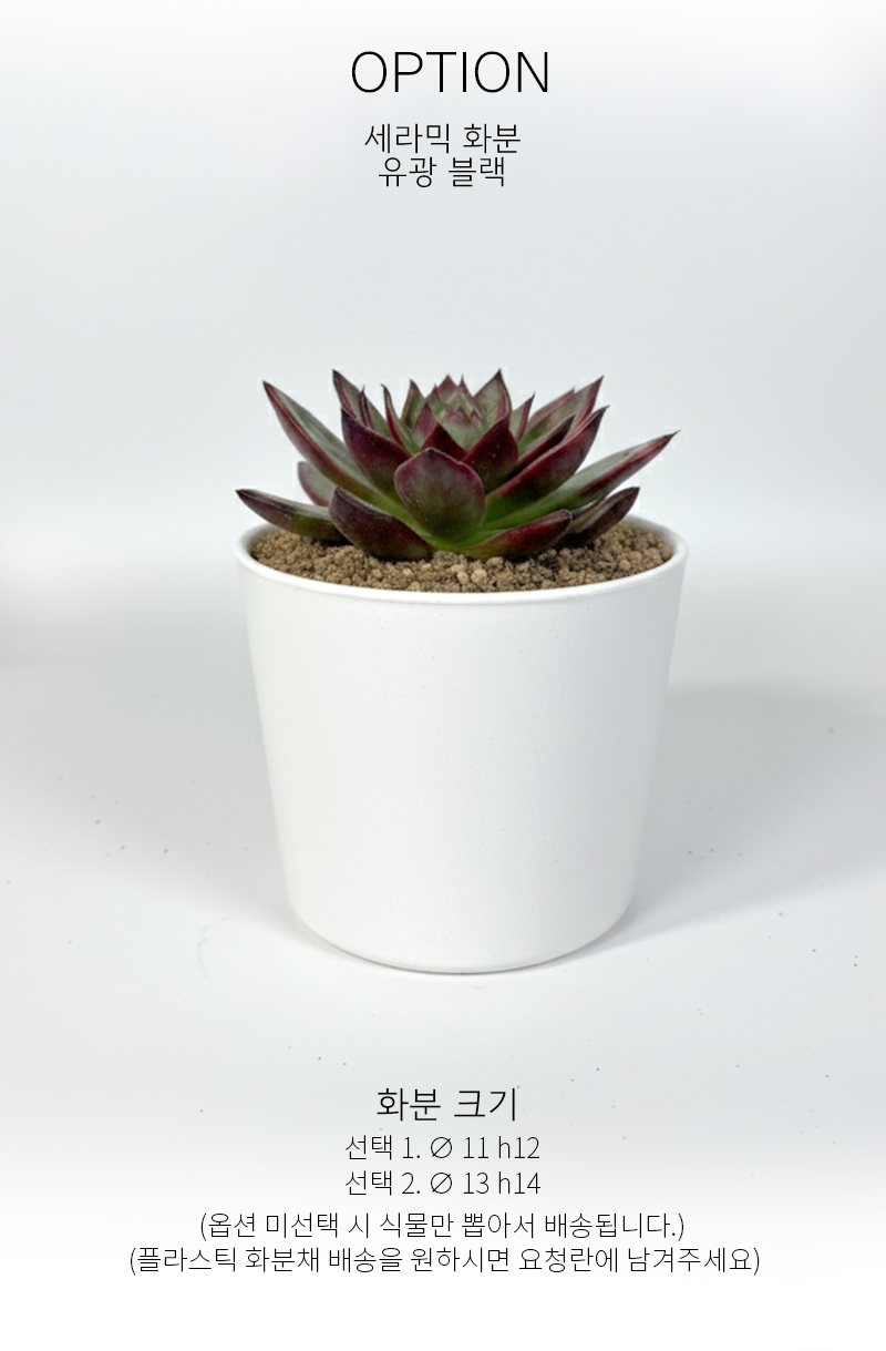 dee9d7fd06ad8fde154ad4bbf593da1c_1765175750_4274.png dee9d7fd06ad8fde154ad4bbf593da1c_1765175750_4274.png