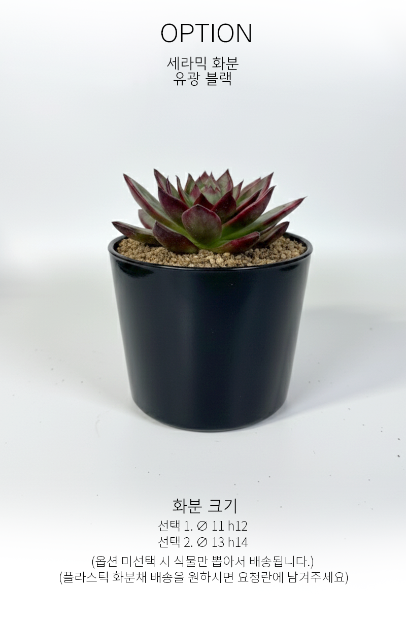 dee9d7fd06ad8fde154ad4bbf593da1c_1765175750_519.png dee9d7fd06ad8fde154ad4bbf593da1c_1765175750_519.png