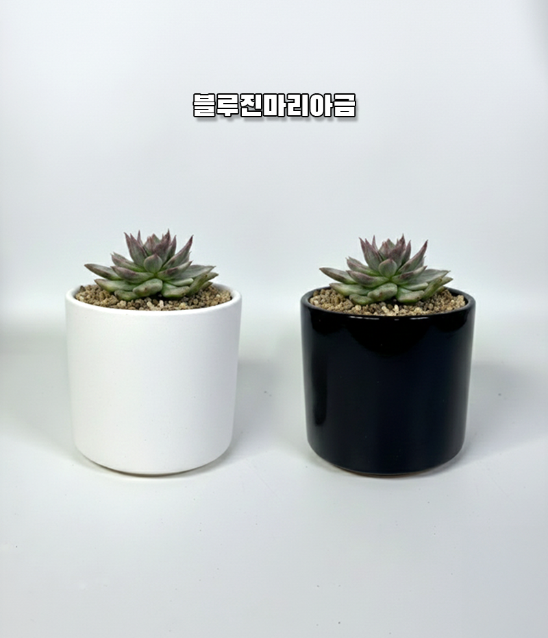 dee9d7fd06ad8fde154ad4bbf593da1c_1765176070_5926.png dee9d7fd06ad8fde154ad4bbf593da1c_1765176070_5926.png