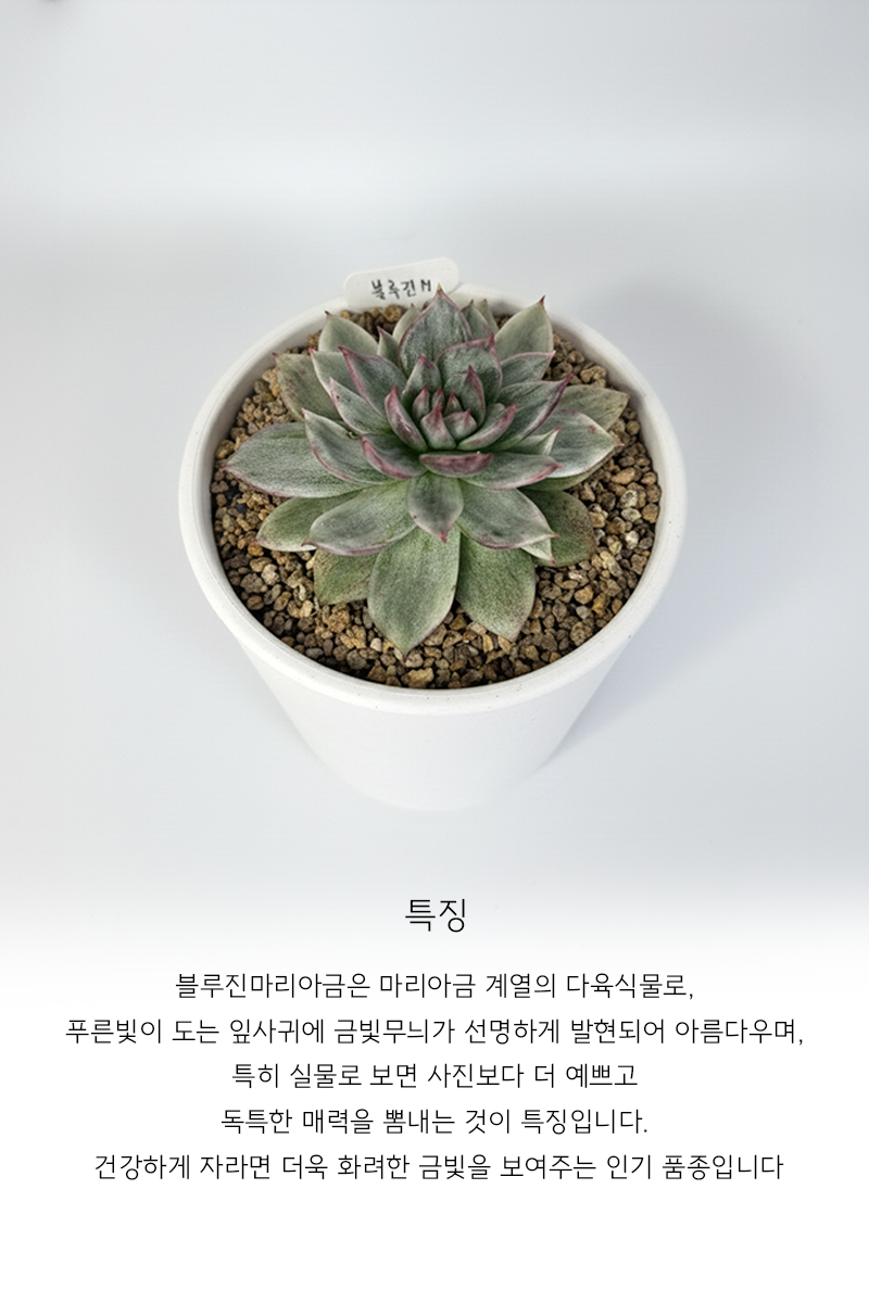 dee9d7fd06ad8fde154ad4bbf593da1c_1765176070_6874.png dee9d7fd06ad8fde154ad4bbf593da1c_1765176070_6874.png