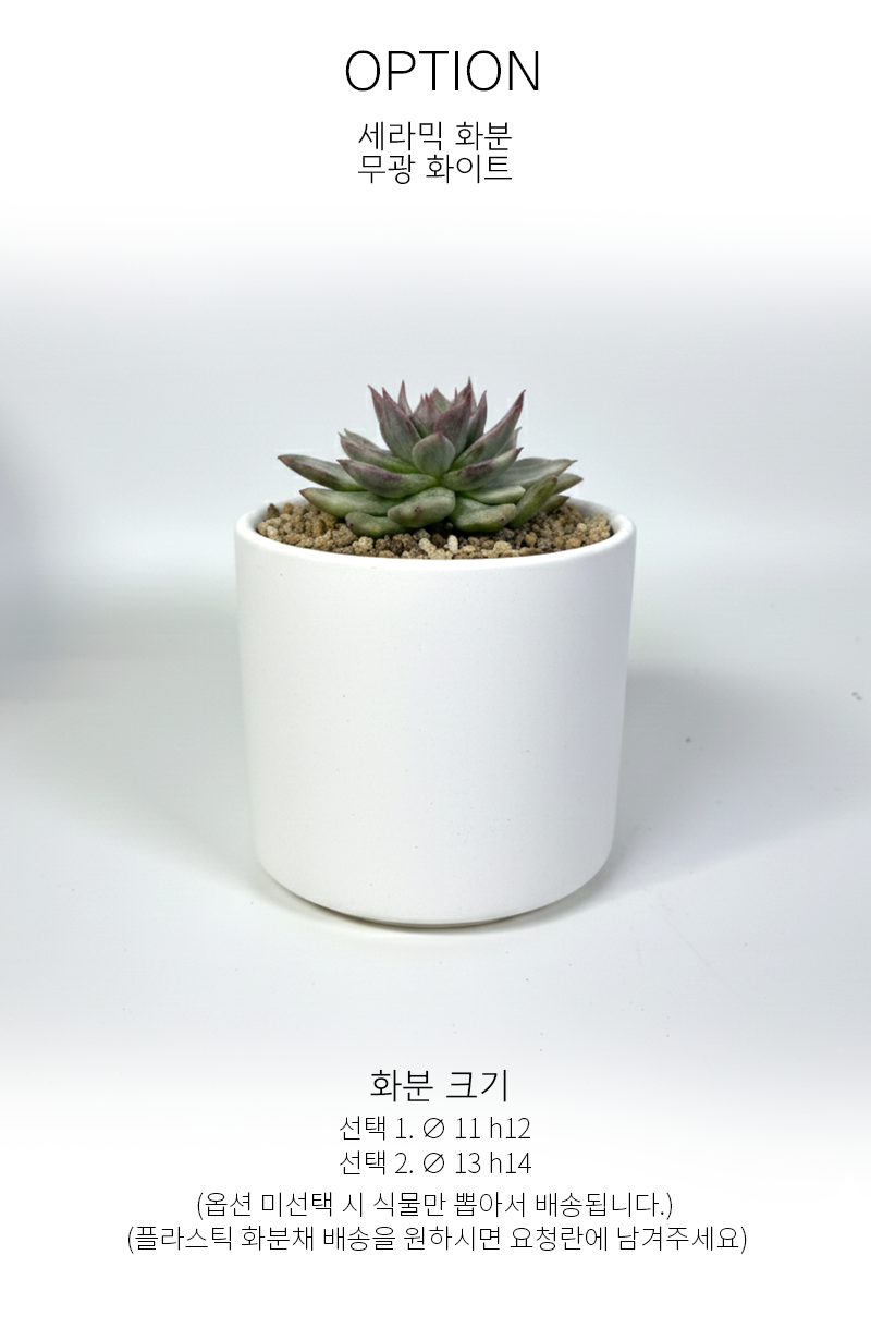 dee9d7fd06ad8fde154ad4bbf593da1c_1765176070_778.png dee9d7fd06ad8fde154ad4bbf593da1c_1765176070_778.png