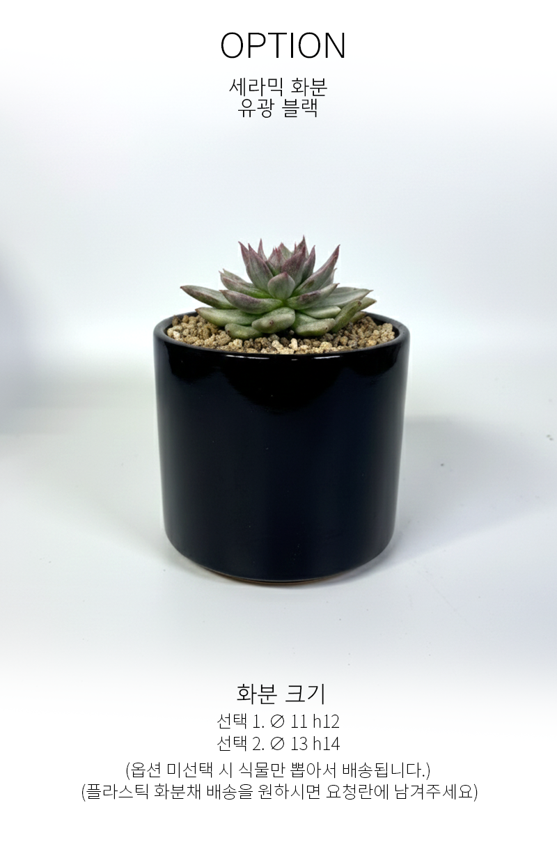 dee9d7fd06ad8fde154ad4bbf593da1c_1765176070_8673.png dee9d7fd06ad8fde154ad4bbf593da1c_1765176070_8673.png