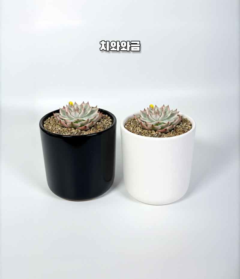 dee9d7fd06ad8fde154ad4bbf593da1c_1765176381_2912.png dee9d7fd06ad8fde154ad4bbf593da1c_1765176381_2912.png