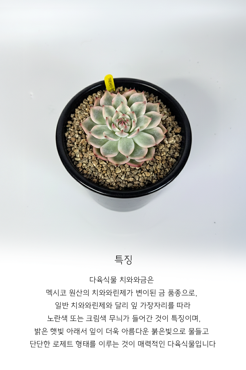 dee9d7fd06ad8fde154ad4bbf593da1c_1765176381_384.png dee9d7fd06ad8fde154ad4bbf593da1c_1765176381_384.png