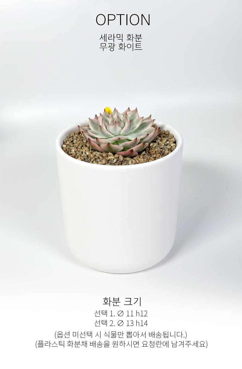 dee9d7fd06ad8fde154ad4bbf593da1c_1765176381_4855.png dee9d7fd06ad8fde154ad4bbf593da1c_1765176381_4855.png