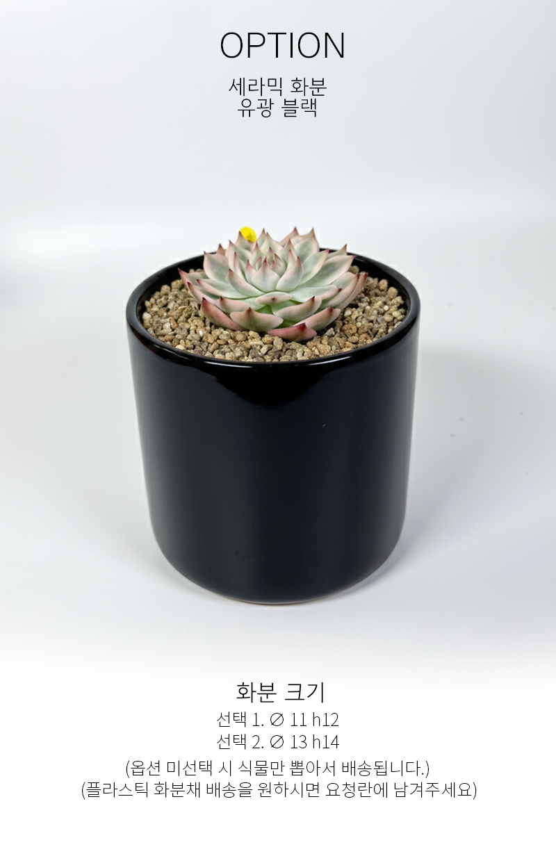 dee9d7fd06ad8fde154ad4bbf593da1c_1765176381_5841.png dee9d7fd06ad8fde154ad4bbf593da1c_1765176381_5841.png