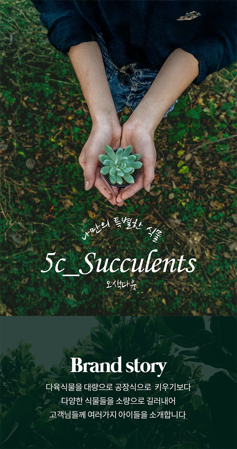 dee9d7fd06ad8fde154ad4bbf593da1c_1765176390_0568.png dee9d7fd06ad8fde154ad4bbf593da1c_1765176390_0568.png