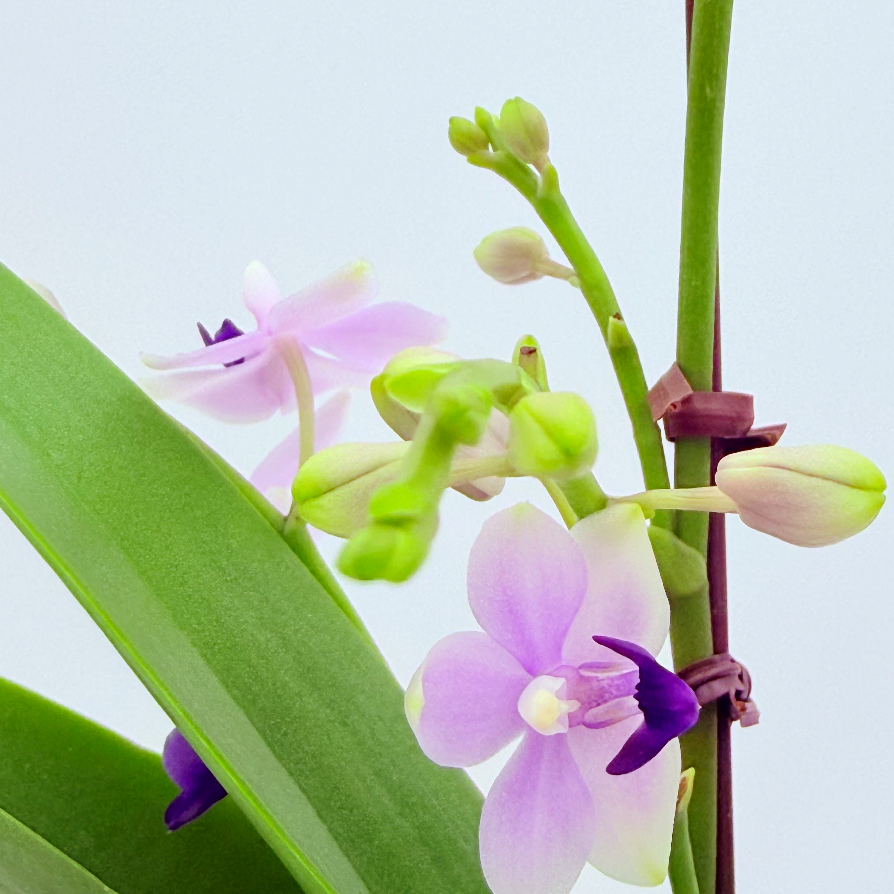 c974c28be2f0c2054ad24bcd529e5a27_1775878853_1361.jpg c974c28be2f0c2054ad24bcd529e5a27_1775878853_1361.jpg