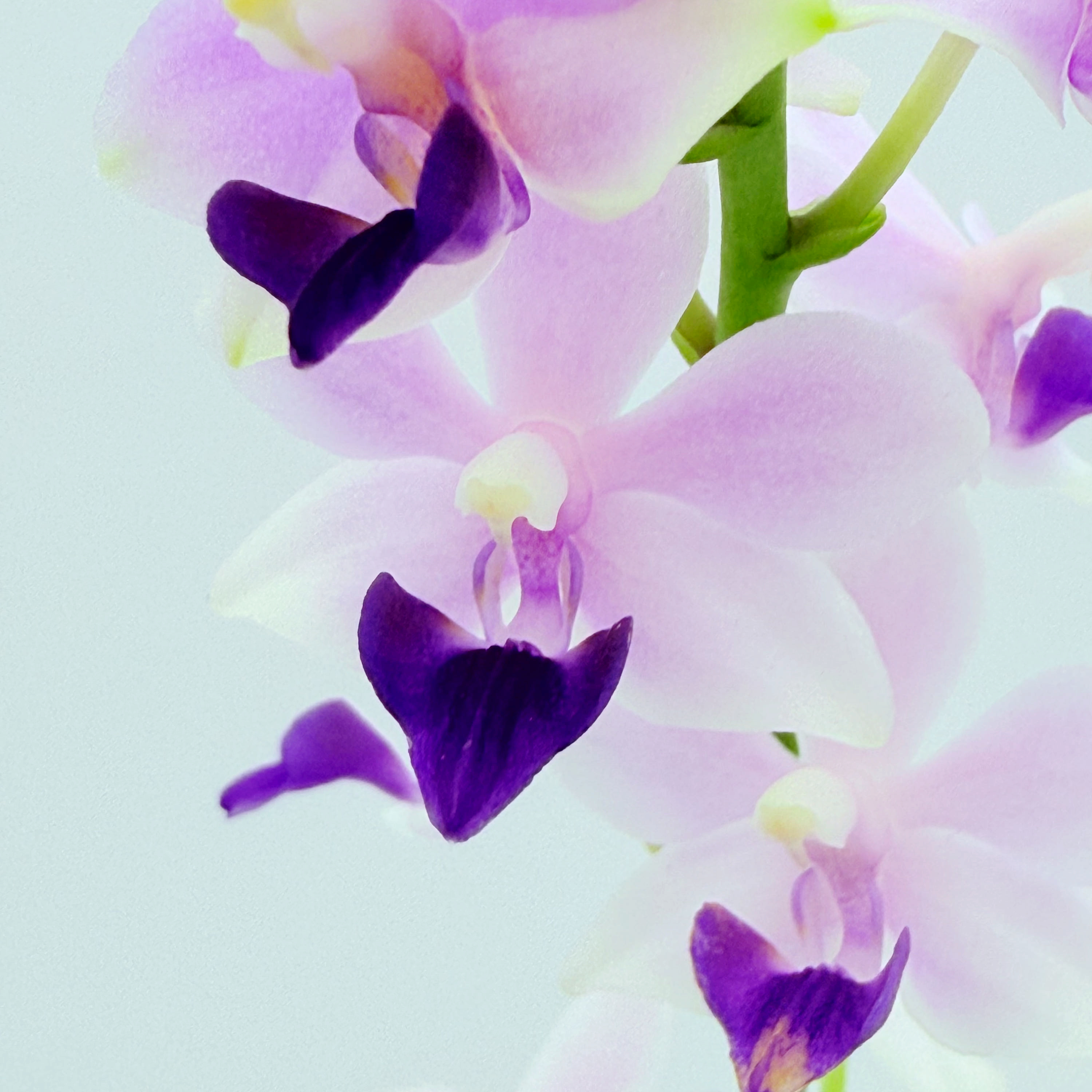 c974c28be2f0c2054ad24bcd529e5a27_1775878854_0331.jpg c974c28be2f0c2054ad24bcd529e5a27_1775878854_0331.jpg