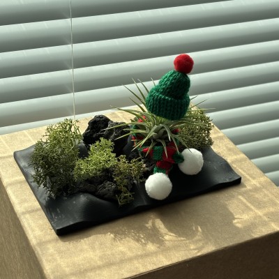 [3차 오픈 할인 이벤트] 미니가든 프리미엄 패키지