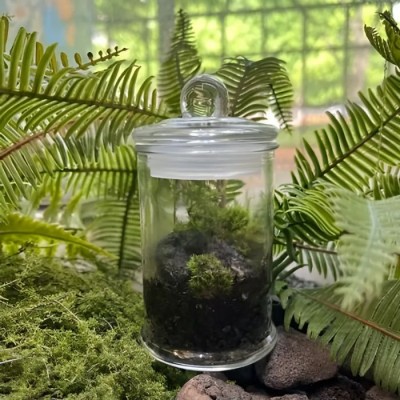 라라그레이스 쉼표테라리움