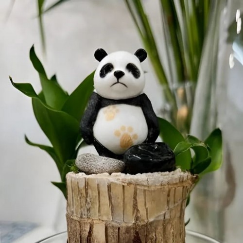 라라그레이스 팬더의 수경생활