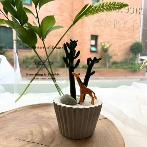 라라그레이스 초록머핀