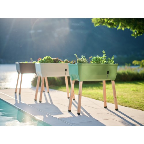 구스타 가든 SAMMY SALAD(사미샐러드) 베란다 텃밭