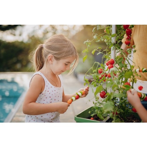 구스타 가든 TOM TOMATO(톰 토마토), 토마토 화분, 베란다 텃밭