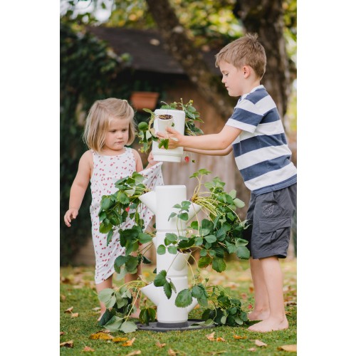 구스타 가든 SISSI STRAWBERRY(시씨 스트로베리), 딸기 화분, 수직형 화분