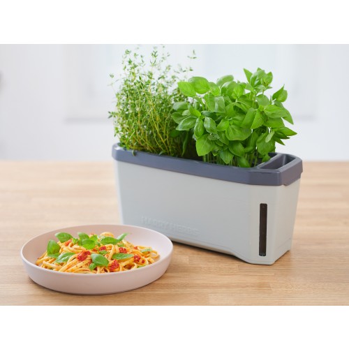 구스타 가든 HARRY HERBS(해리 허브), 쌈채소, 수경재배