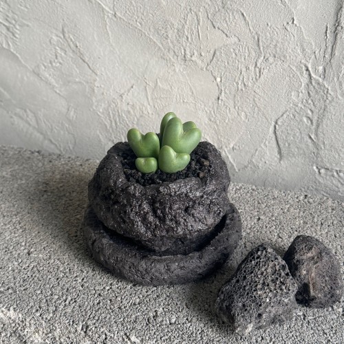 업플랜트 하트다육이 축전 화산석화분