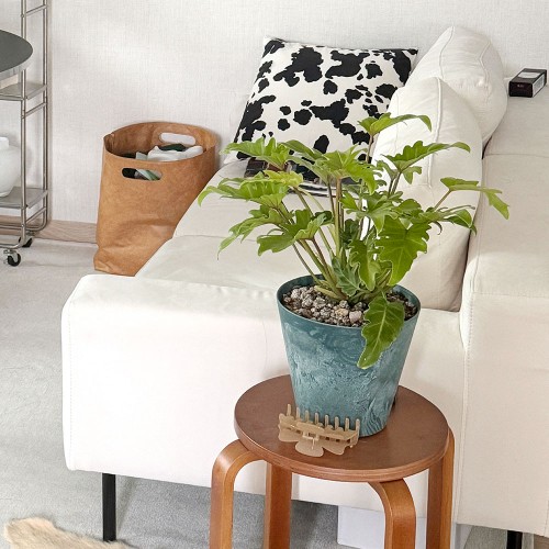 야광셀렘 형광셀렘 중형 감성화분 저면관수화분