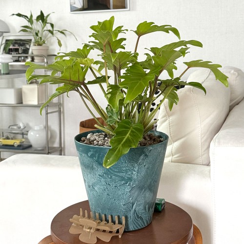 야광셀렘 형광셀렘 중형 감성화분 저면관수화분