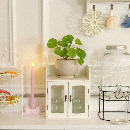 무늬 필레아 동그리 페페 마블 볼토분S