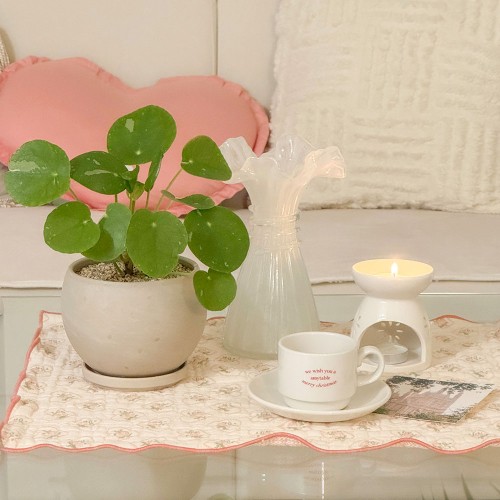 무늬 필레아 동그리 페페 마블 볼토분S