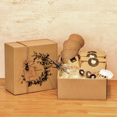 플랜트박스 친환경 씨앗키트 트리플세트