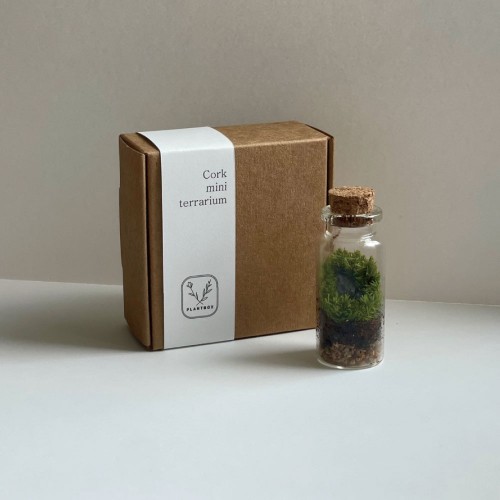 플랜트박스 코르크 미니 테라리움