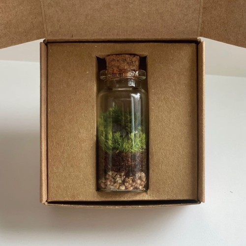 플랜트박스 코르크 미니 테라리움