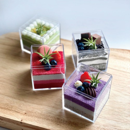 플랜트박스 디저트 테라리움