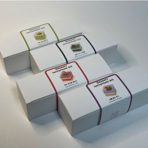 플랜트박스 디저트 테라리움
