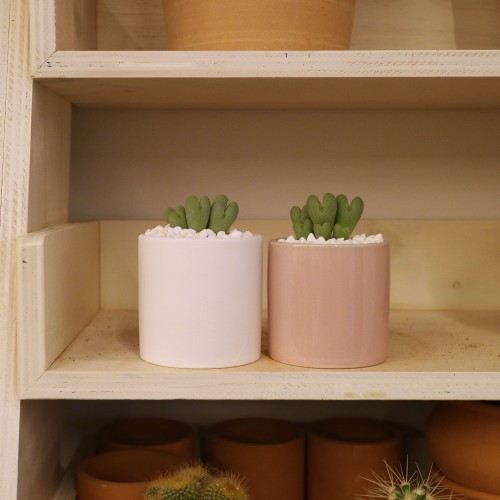 미니화분 하트 다육이 축전-세라믹